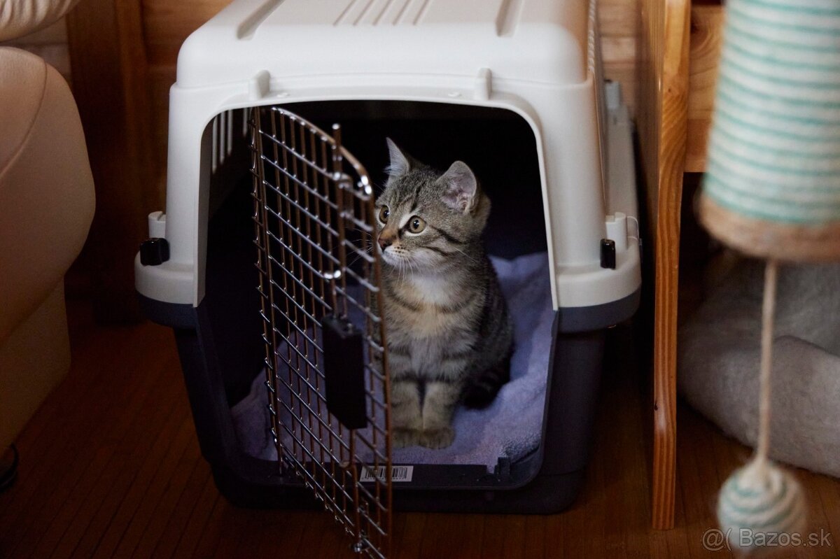 Prepravný box pre psa, mačku Karlie Nomad S