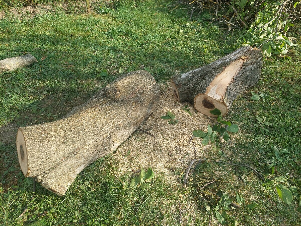 Surový masív - orechové drevo