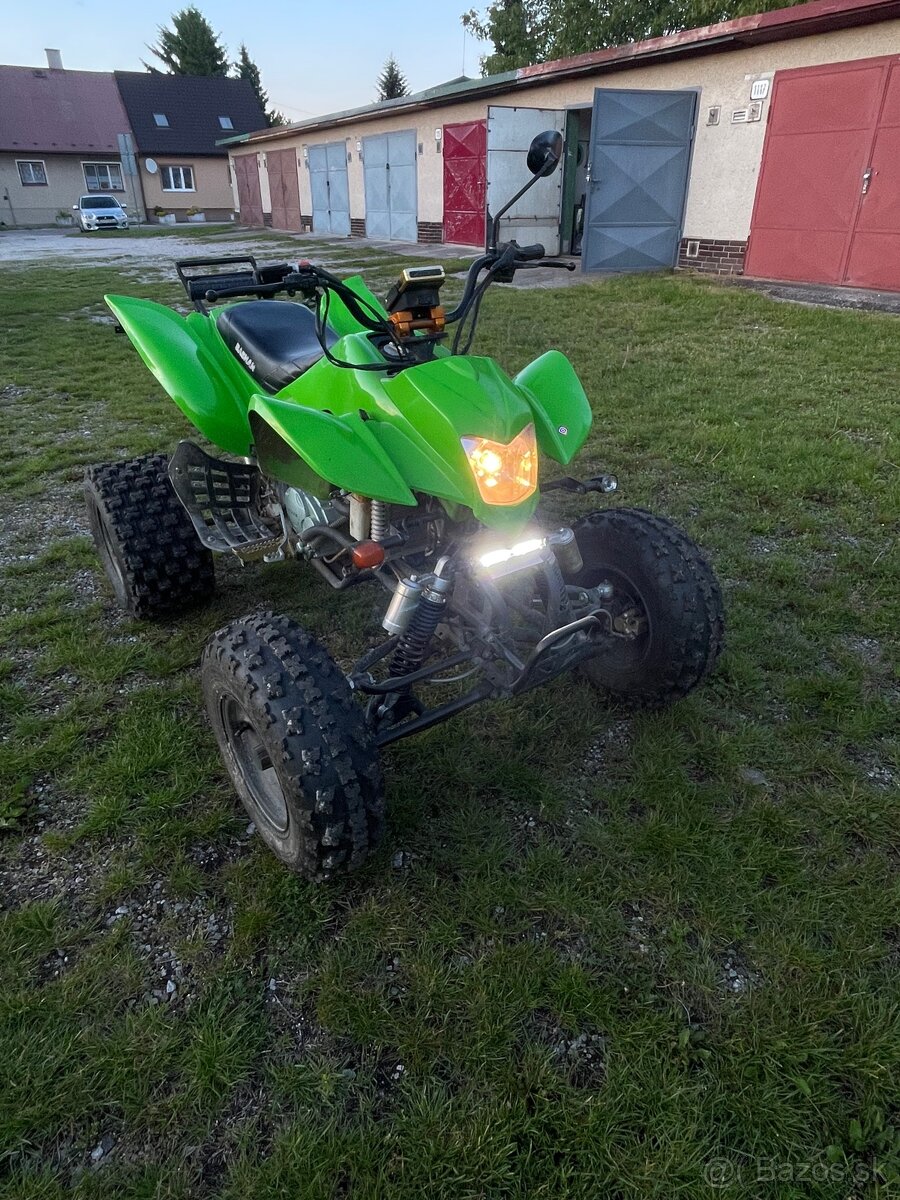 Bashan 200