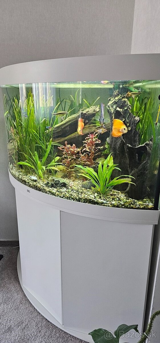 akvarium rohove juwel 350L