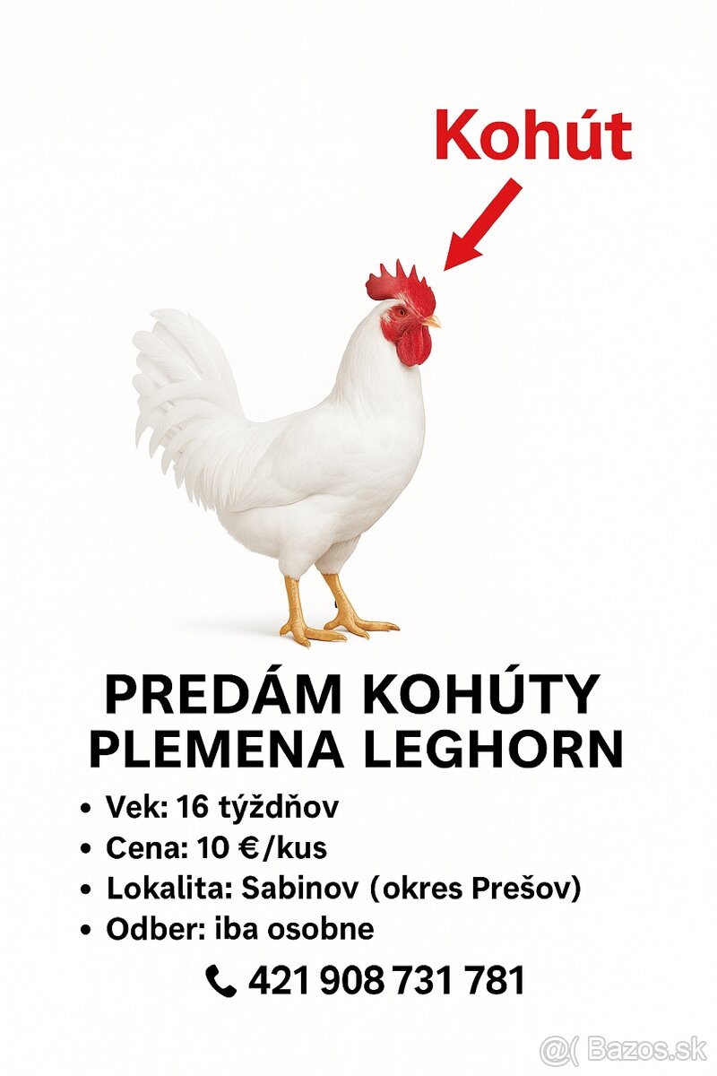 Kohúty na predaj leghorn