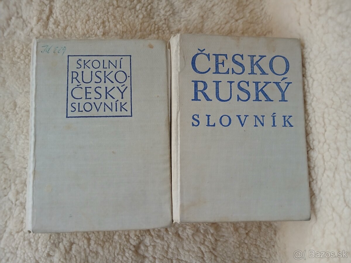 česko-ruský/rusko-český