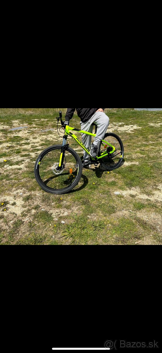 Bicykel
