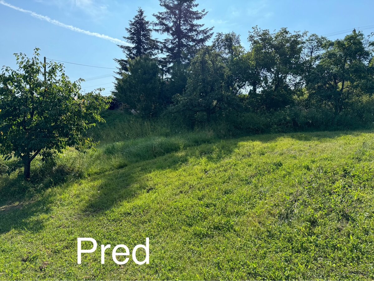 Kosenie veľkých plôch krovinorezom,traktorom,mulčovanie.