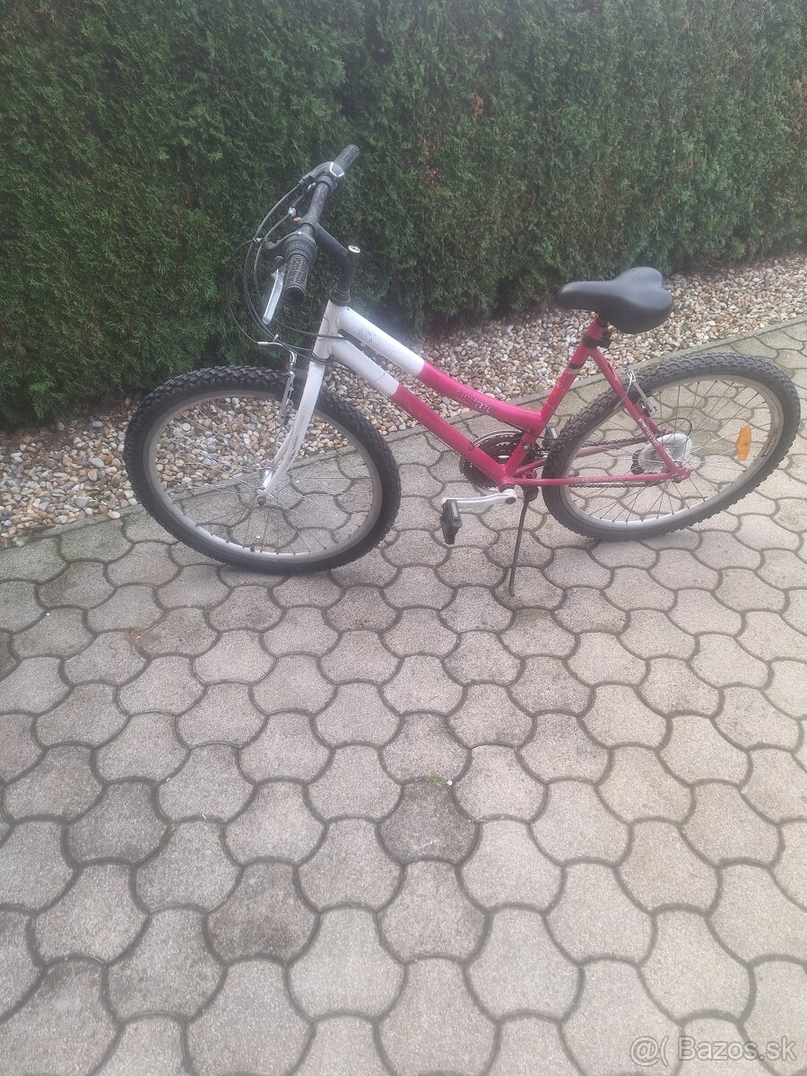 Horský bycikel
