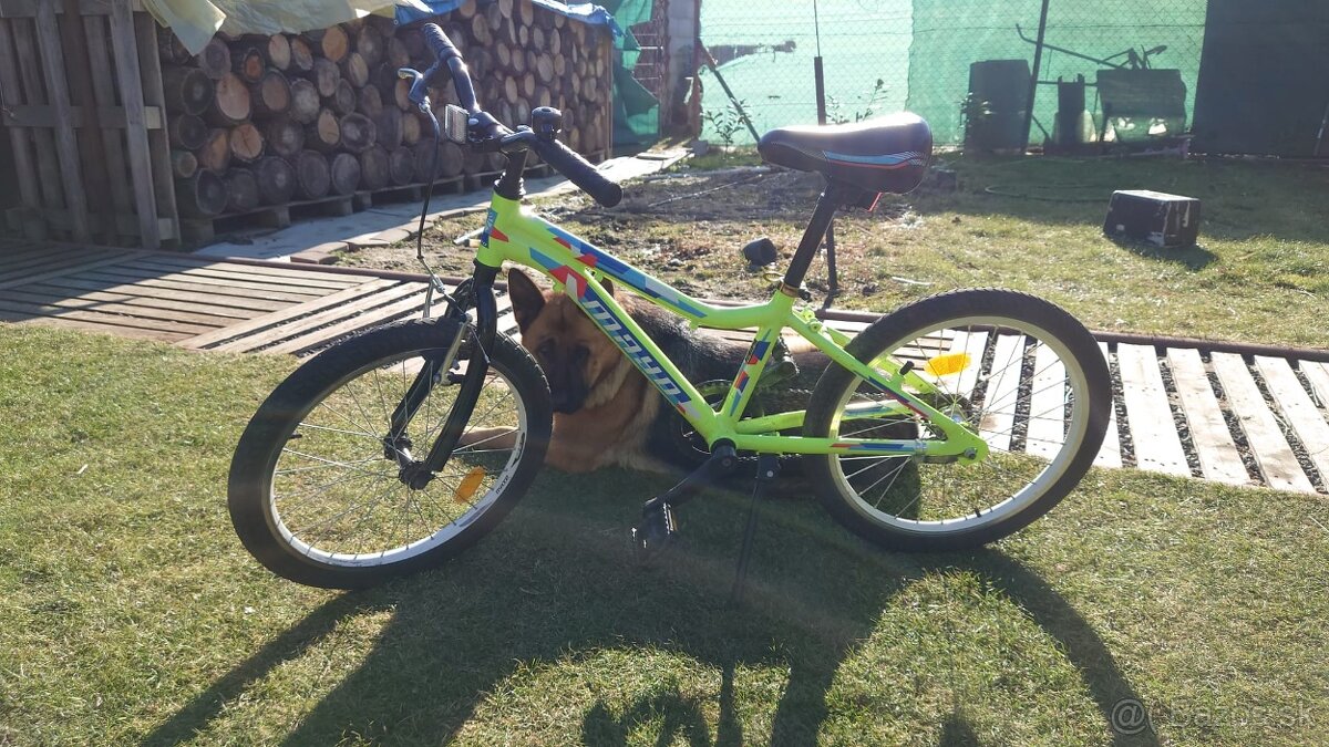 Detský bicykel 20