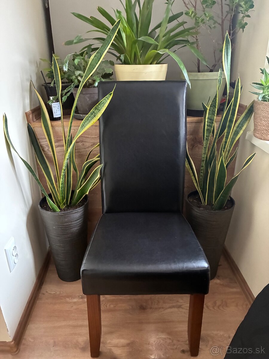 Jedalenske stoličky