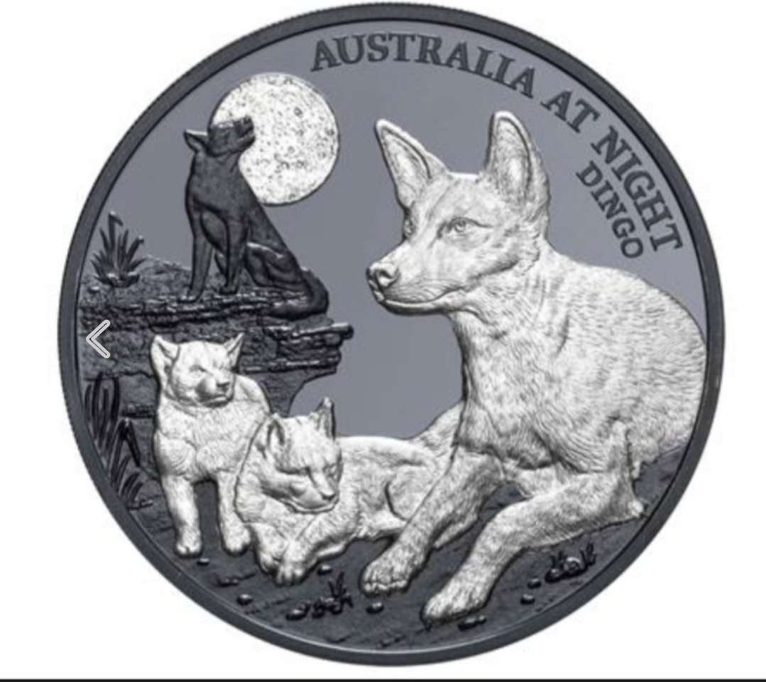 DINGO - AUSTRALIA V NOCI - investičná strieborna minca