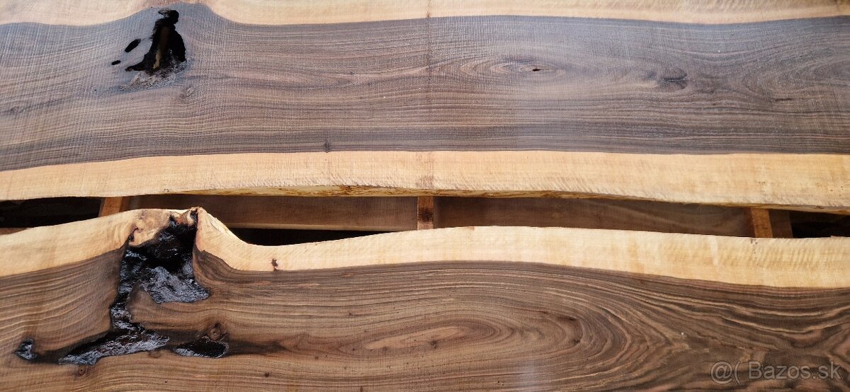 Orechový kmeň 2,3m / 50cm