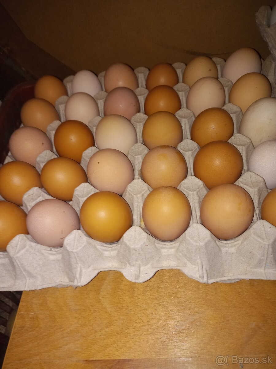 Nasadove vajíčka mix