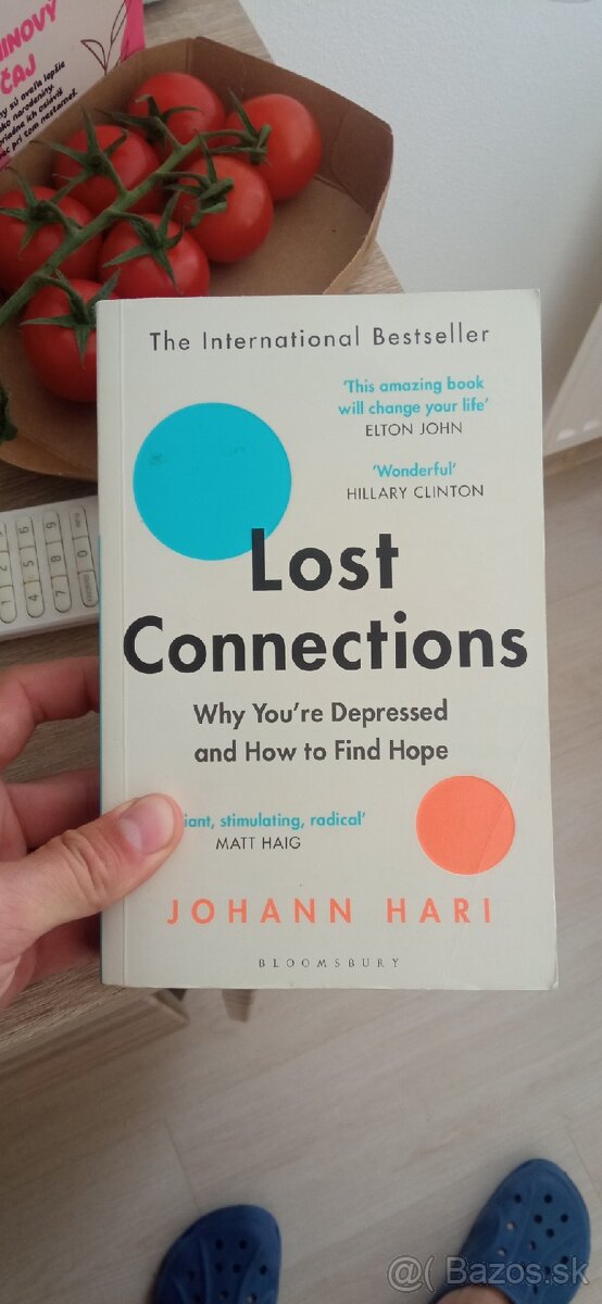 Lost Connections - Johann Hari