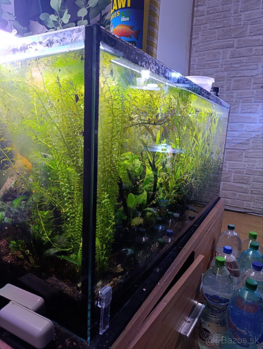 Akvárium + svetlo