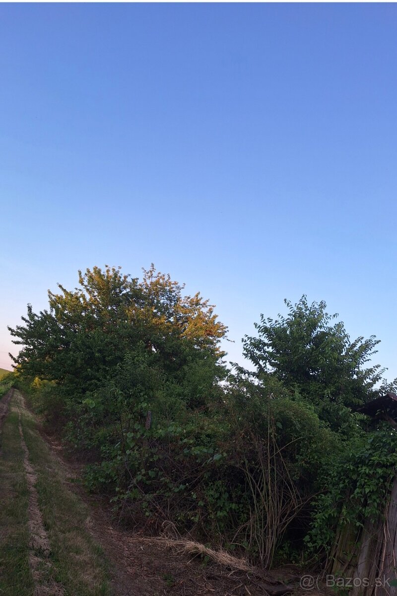 Vinica Krížny vrch