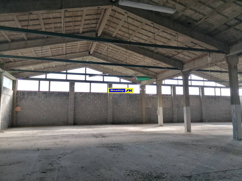 Haly na prenájom okres Trnava