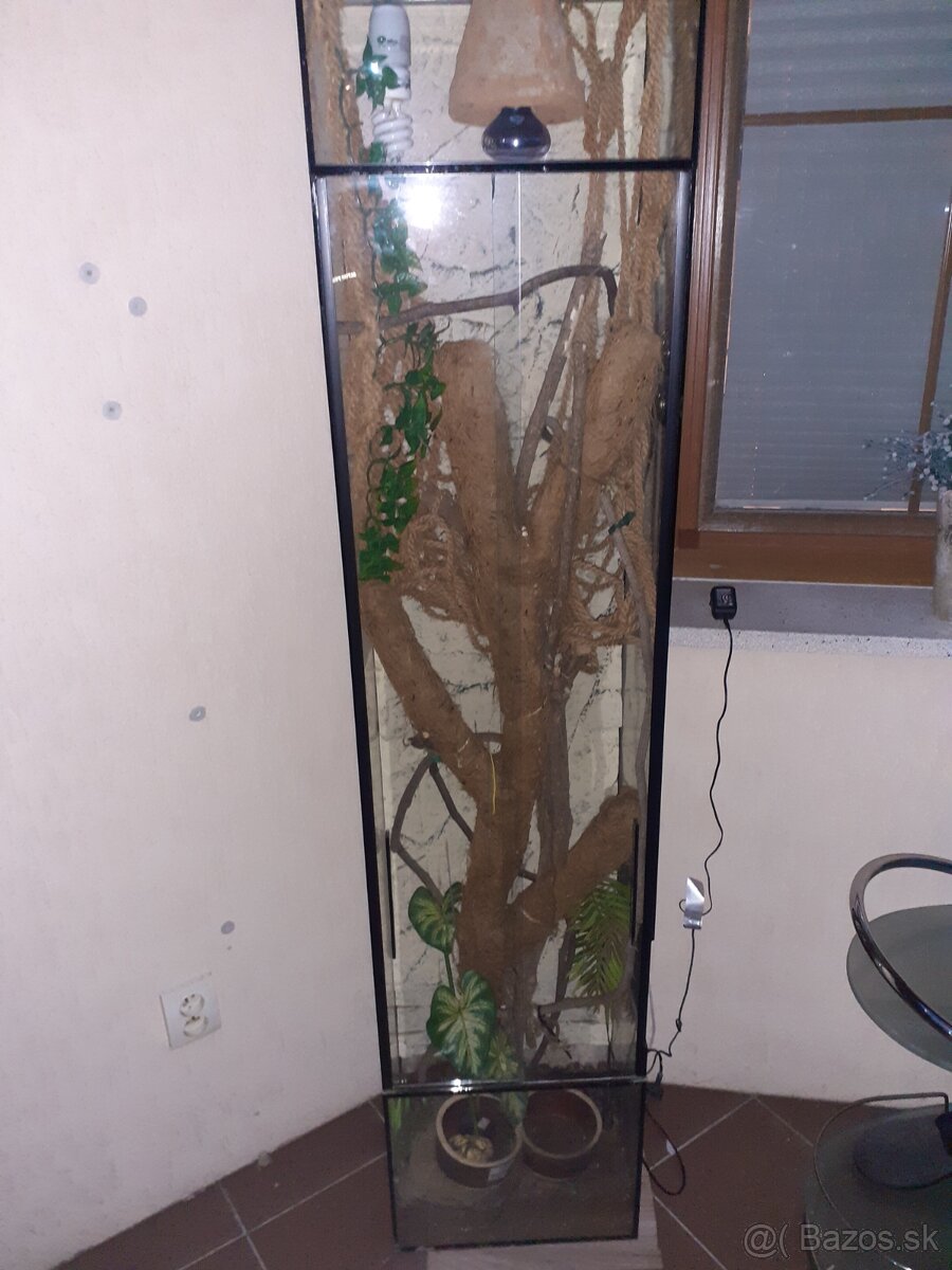 Predam vysoke terarko