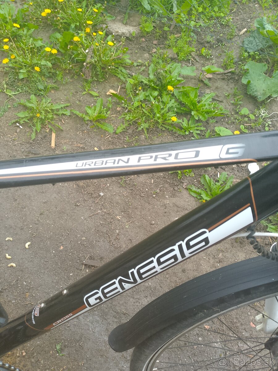Bycikel GENESIS URBAN PRO