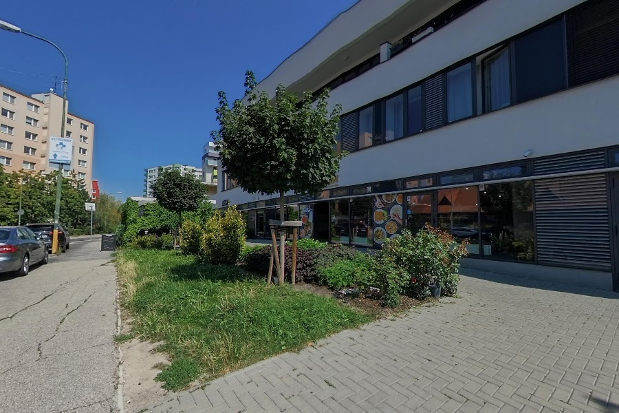 Ponúkam 1 izbový zrekonštruovaný byt,PSÍK