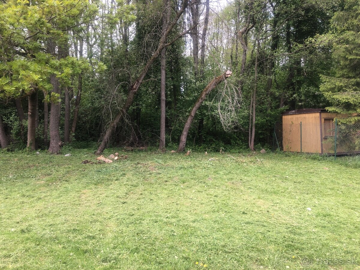 Pozemok v Demänovskej Doline-NOVÁ CENA