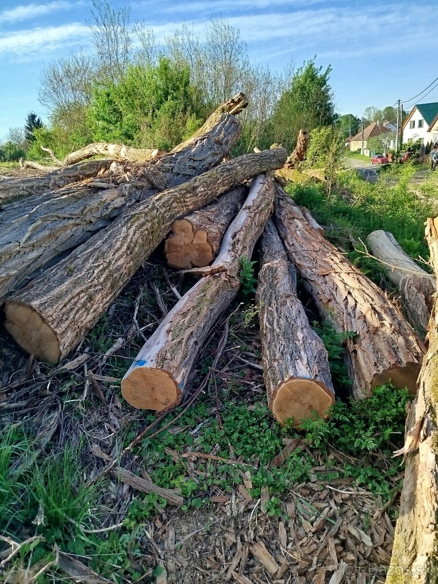 Predám agát