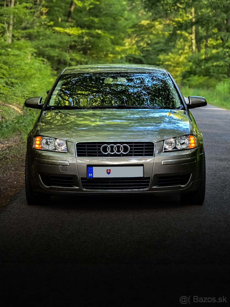 Audi A3 8P 1.9TDI 77KW BXE bez DPF