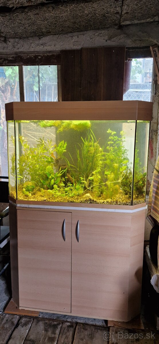 Akvárium 270l