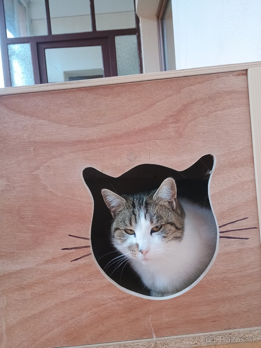 Búda pre mačky
