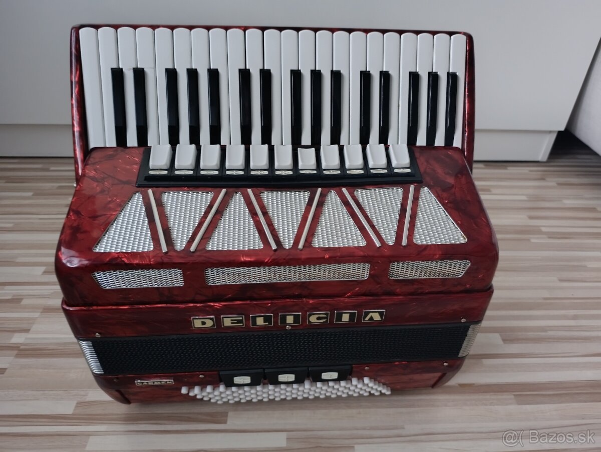 Delicia Carmen 96 basov, Top stav