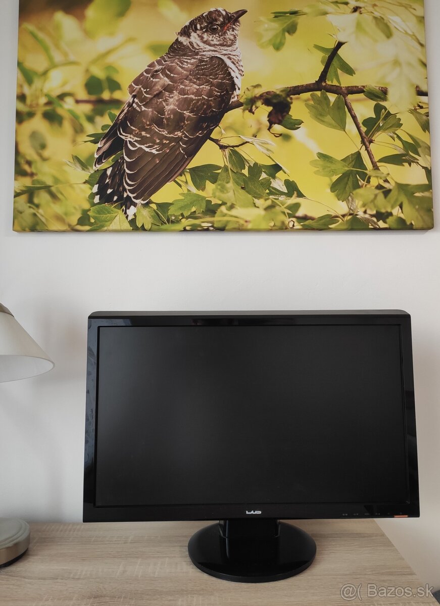 LCD monitor Asus