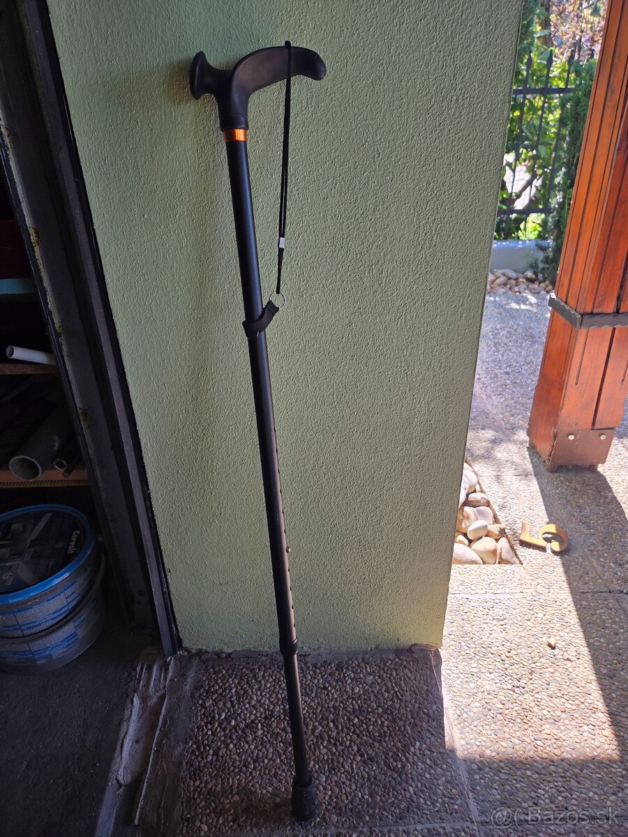 Vychadzková palica