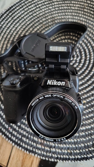 Nikon COOLPIX B500