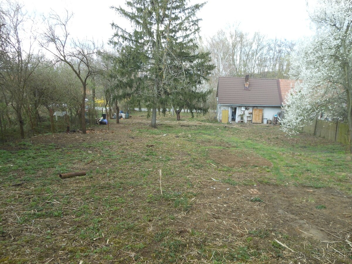 Ponúkam na predaj domček s veľkým pozemkom V Senici