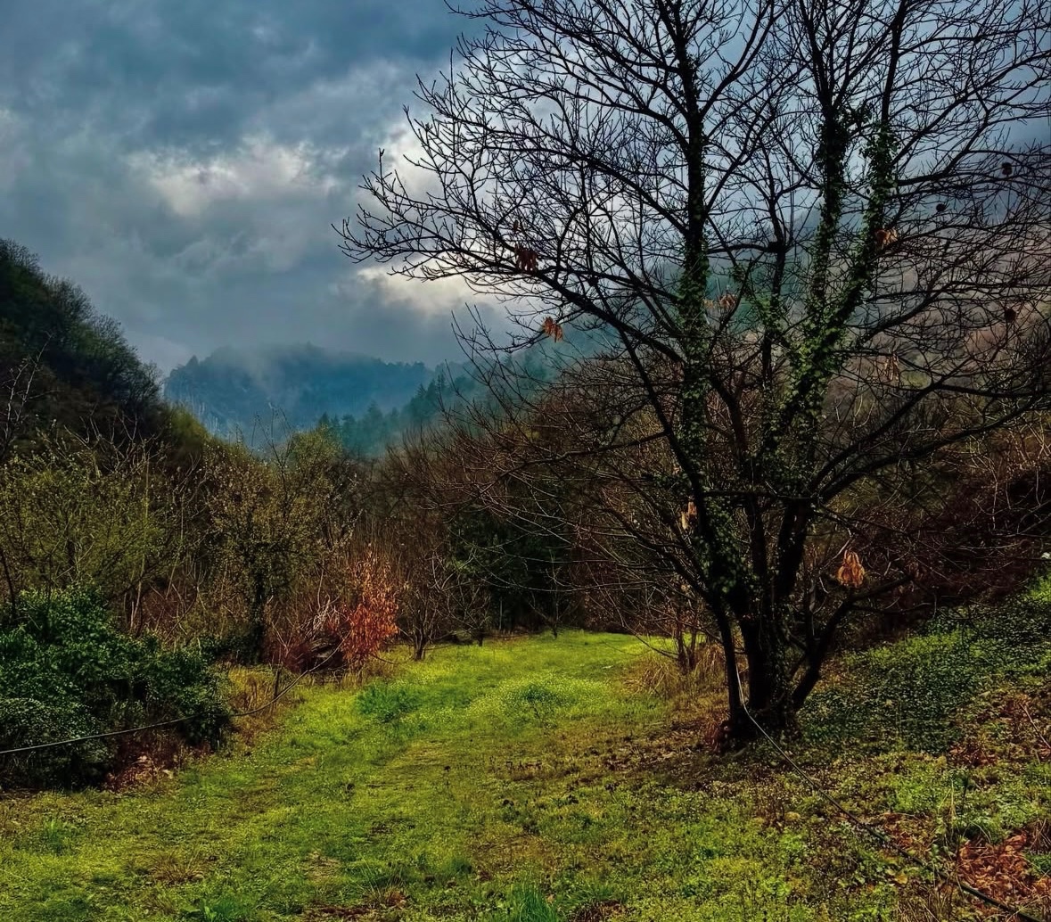 Závada – 1.834 m2 LESOV (Urbáru) – PREDAJ
