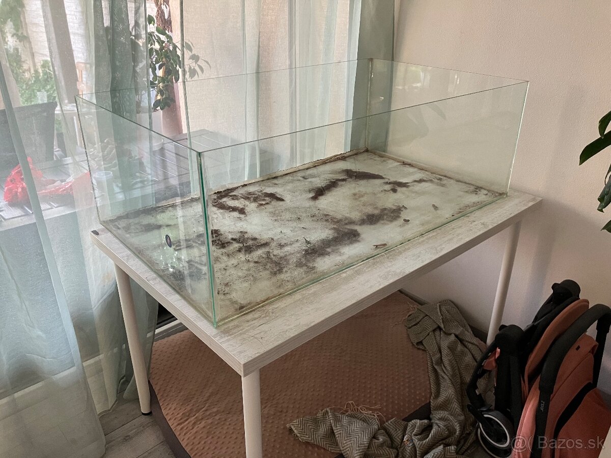 Terarium