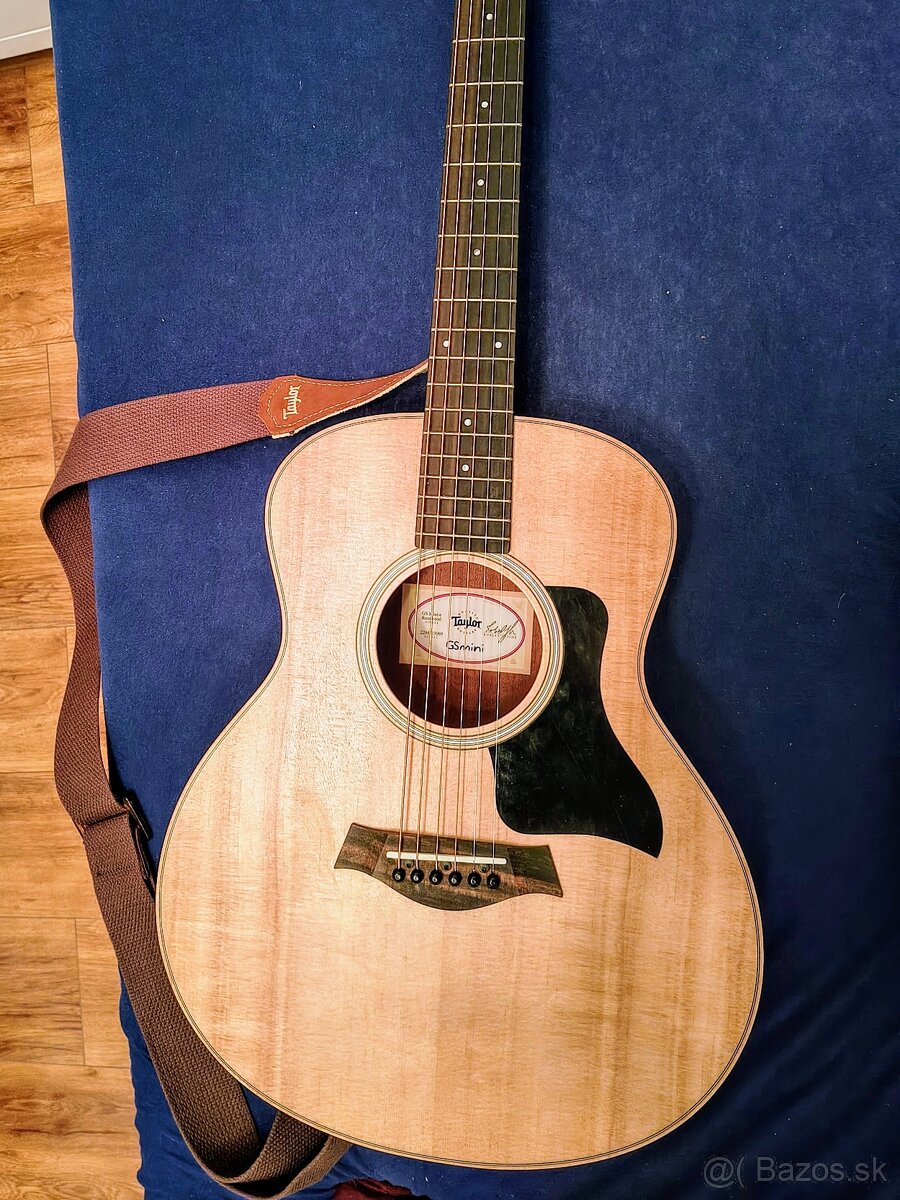 Taylor GS Mini-e Rosewood