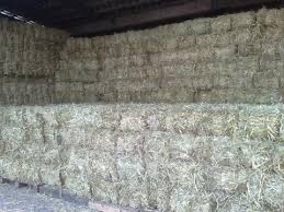 Seno v malých hranatých balíkoch