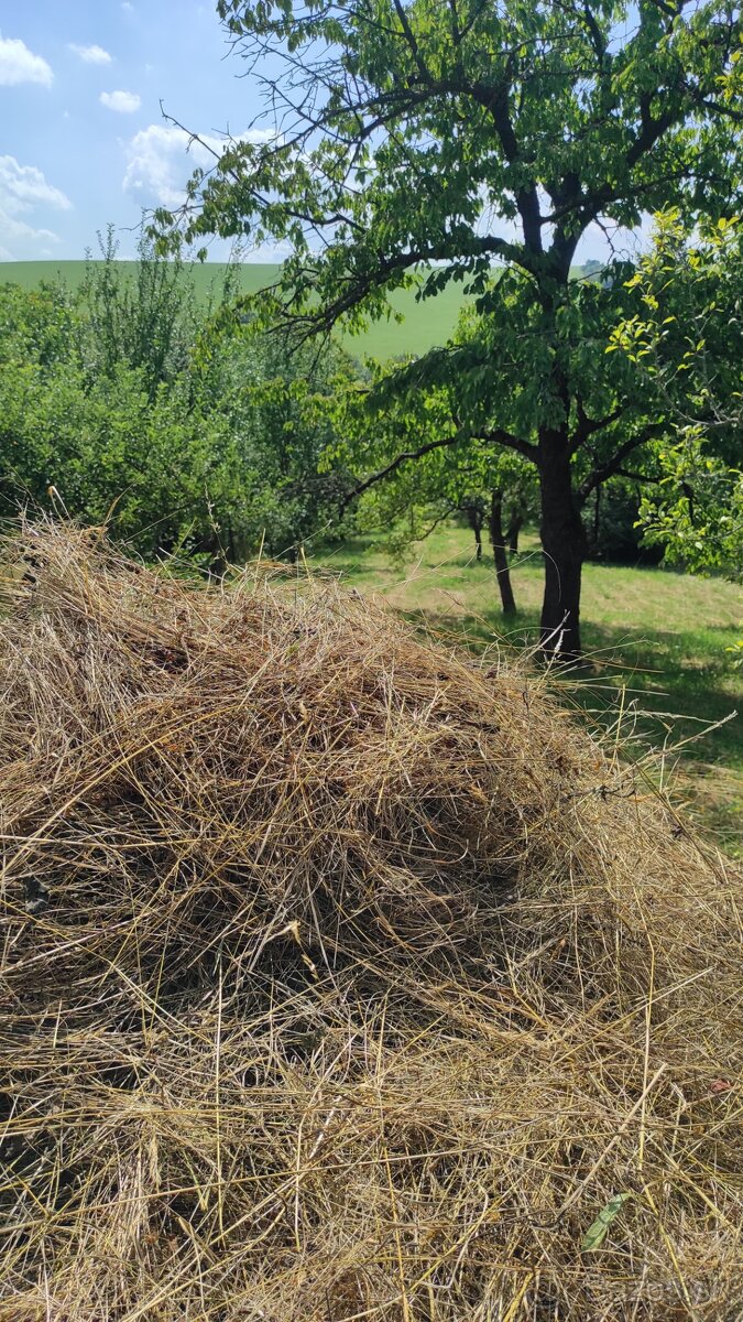 Darujem tohtoročné seno - obec Sobotište, okr. Senica