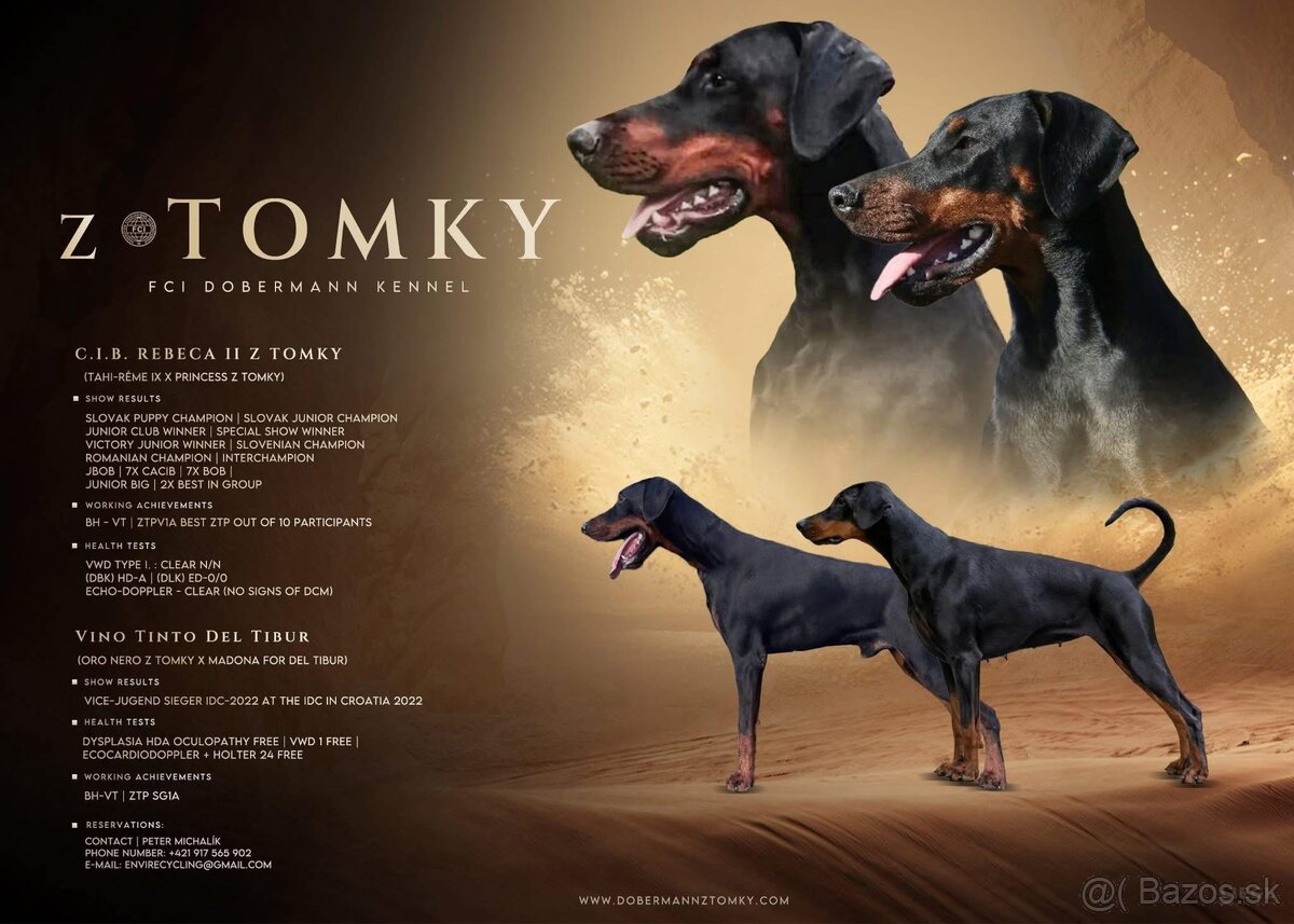 Dobermann