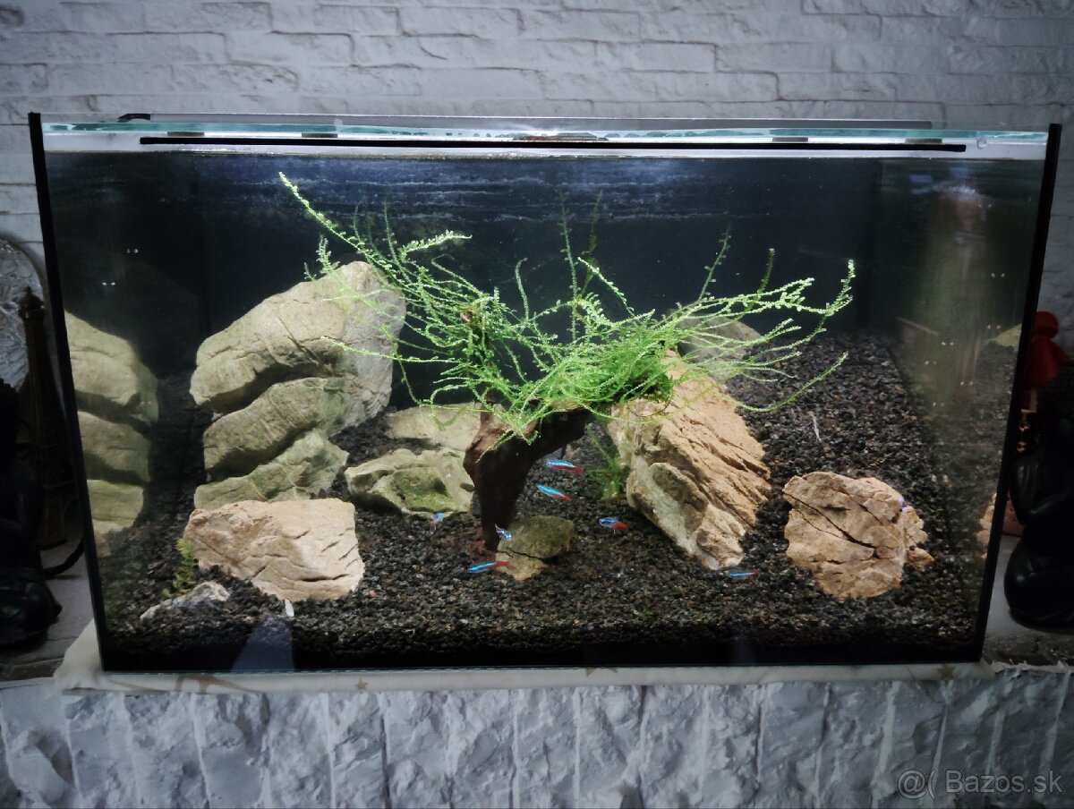 Akvarium 50L