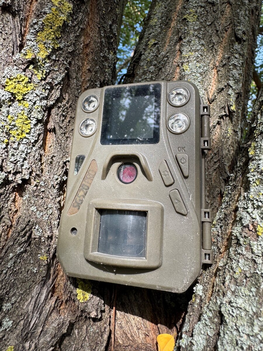 Fotopasca