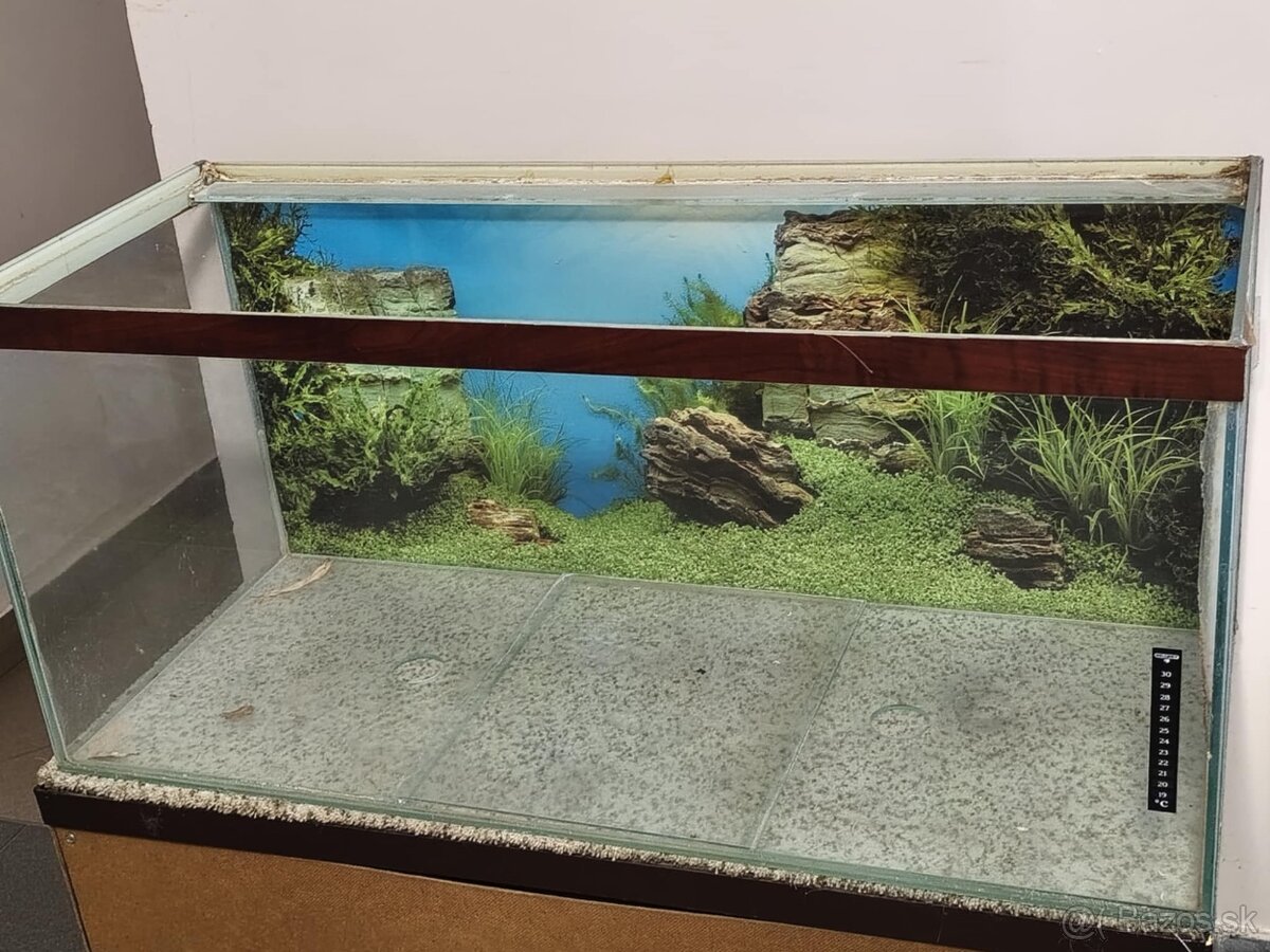 Akvárium použiteľné uz iba ako terarium