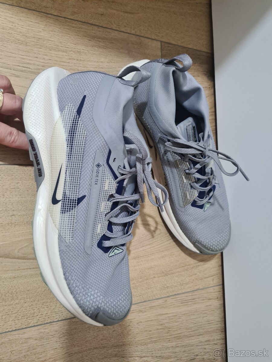 Nike reactx Pegasus 5 Gore-tex