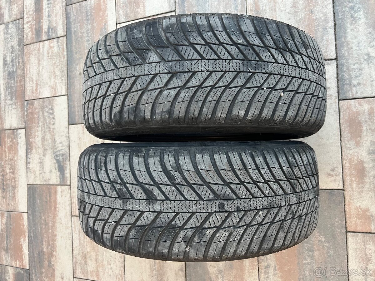 Pneumatiky Nexen 225/50 r17 celoročne