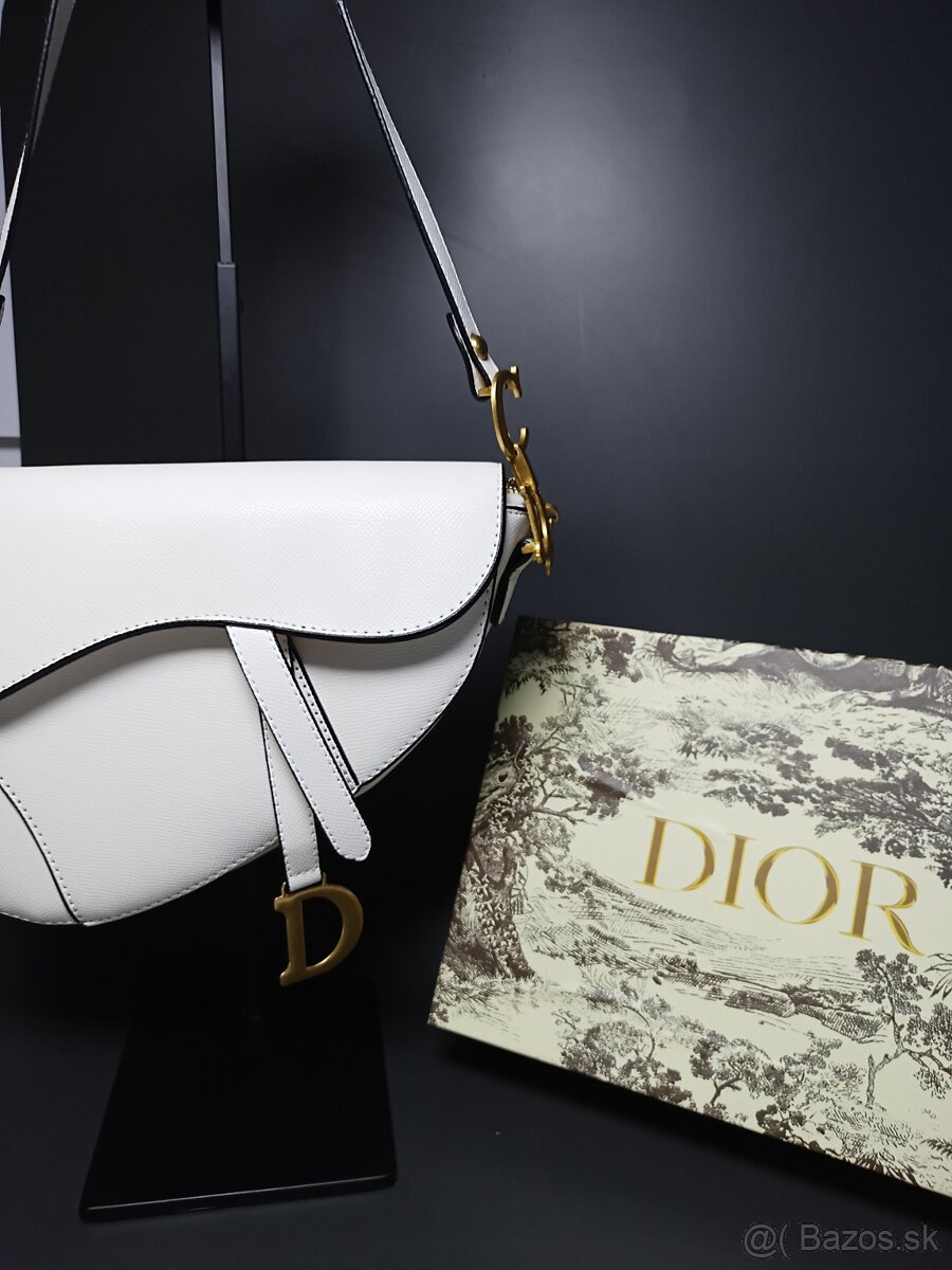 Dior Saddle Bag