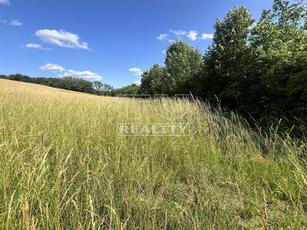 Na predaj: Pozemok na samote u Rehušov pri Prietrži – 2...