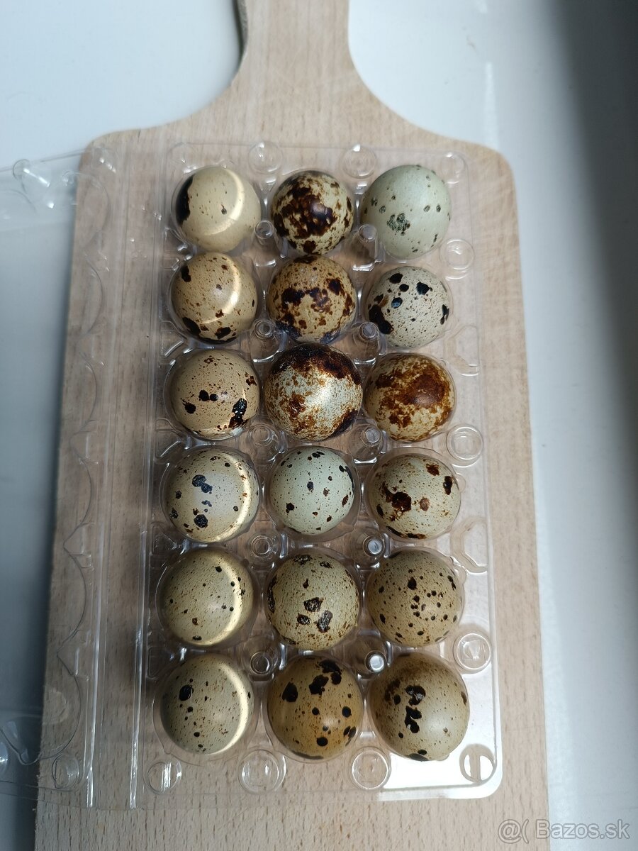 prepeličie vajíčka