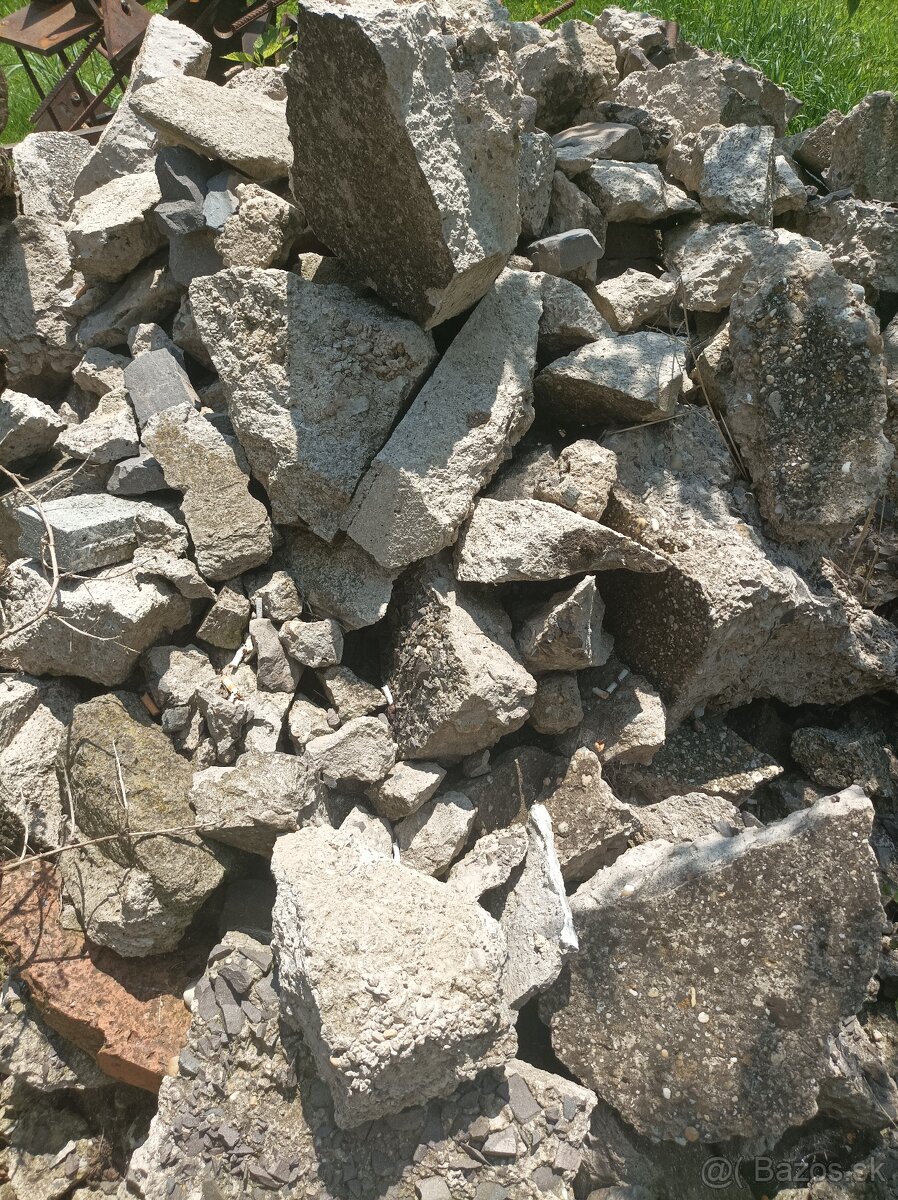 Suť