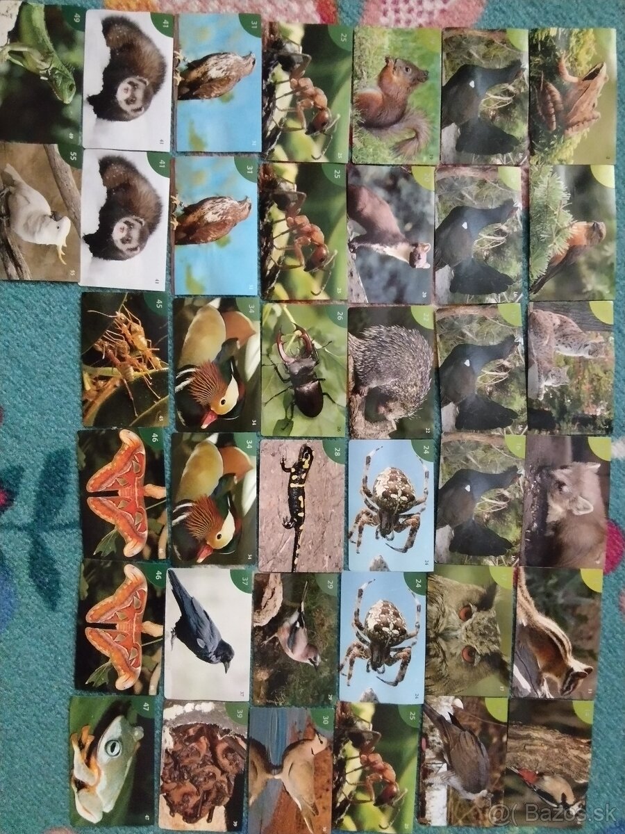 Nálepky Animal kingdom Kraš STARÉ