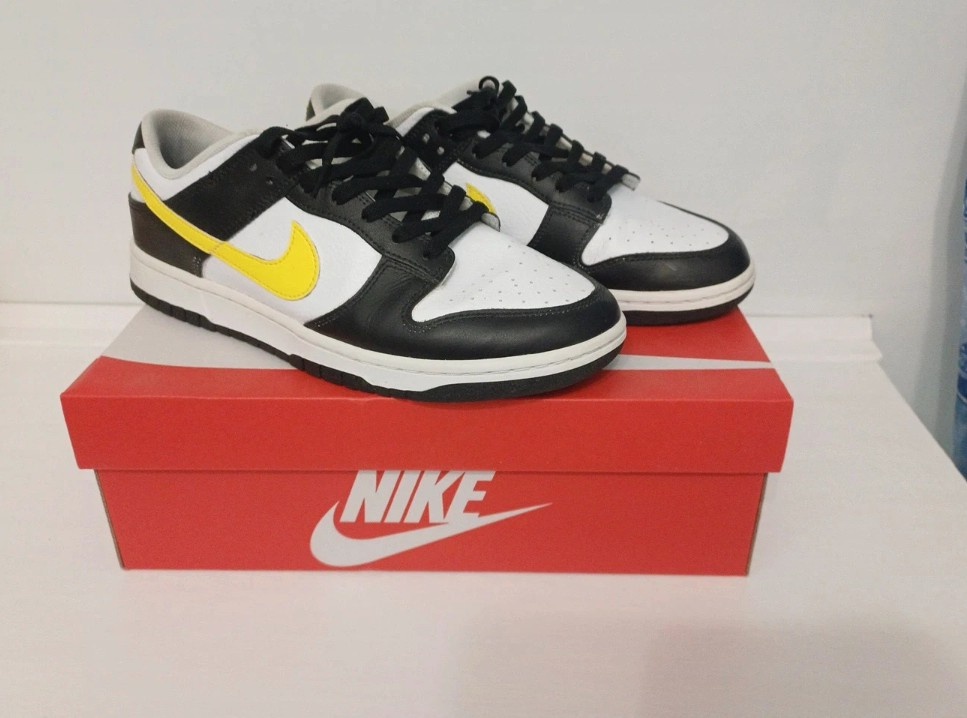 Nike DUNK LOW 43