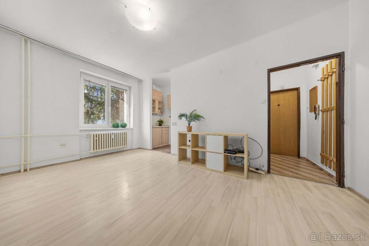 SVETLÁ GARSÓNKA, MUROVANÁ PIVNICA, NÍZKE NÁKLADY, OSTREDKY