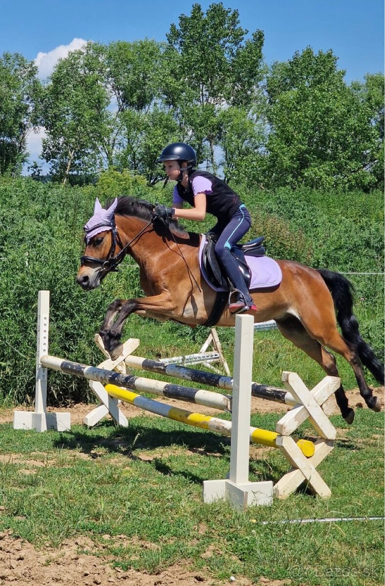 Sportovy pony